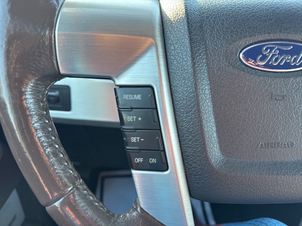 2009 Ford F-150 Platinum