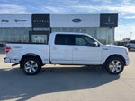 2009 Ford F-150 Platinum
